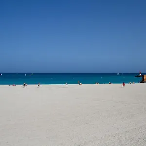 https://atlantic-loft.in-canary-islands.com